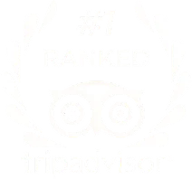 Altezza Travel classée n° 1 sur Tripadvisor