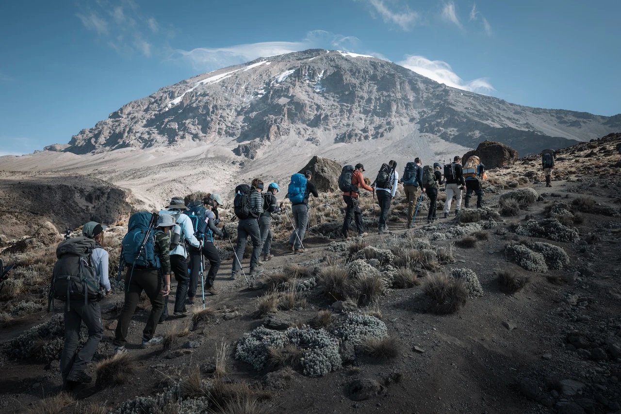 Des randonneurs Altezza lors d’un voyage partagé au Kilimandjaro