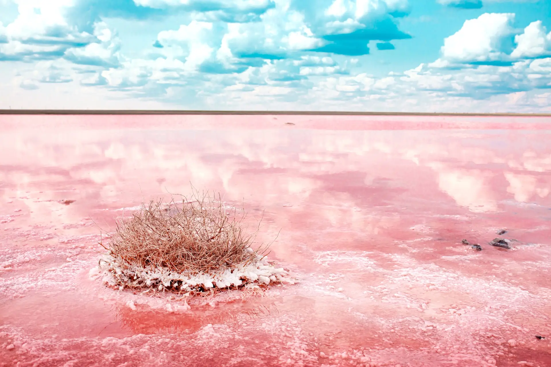 Pendant la saison sèche, le lac devient rouge et se couvre de sel. Photo : Vera Larina / Shutterstock