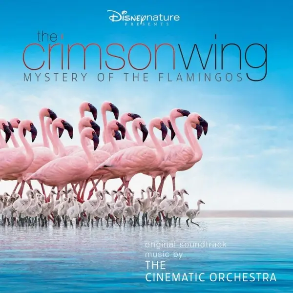 Affiche du documentaire « Les Ailes pourpres : Le Mystère des flamants »
