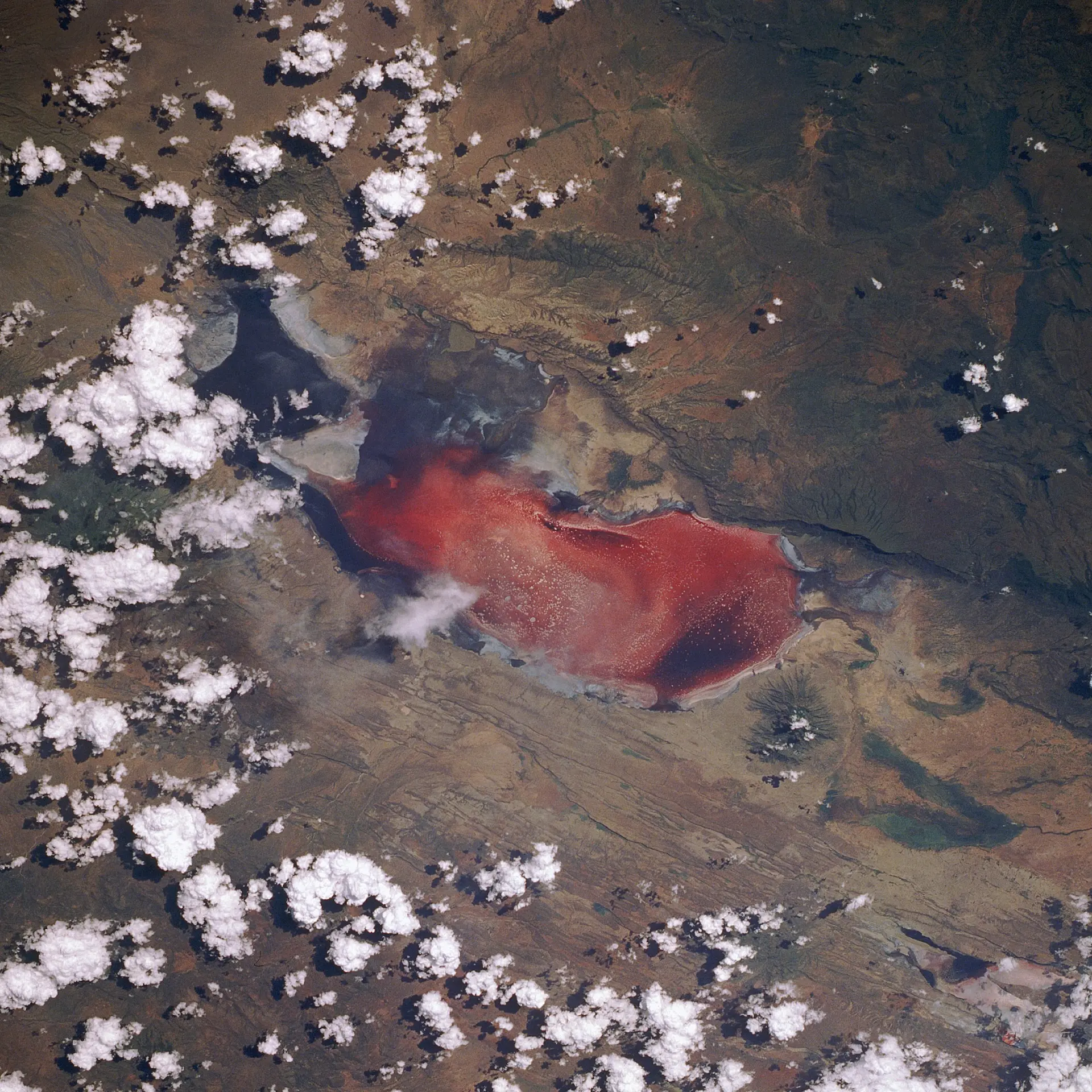 Le lac Natron, parfois appelé « le lac rouge mortel », vu depuis la navette spatiale Discovery lors de la mission STS-29. Photo : NASA