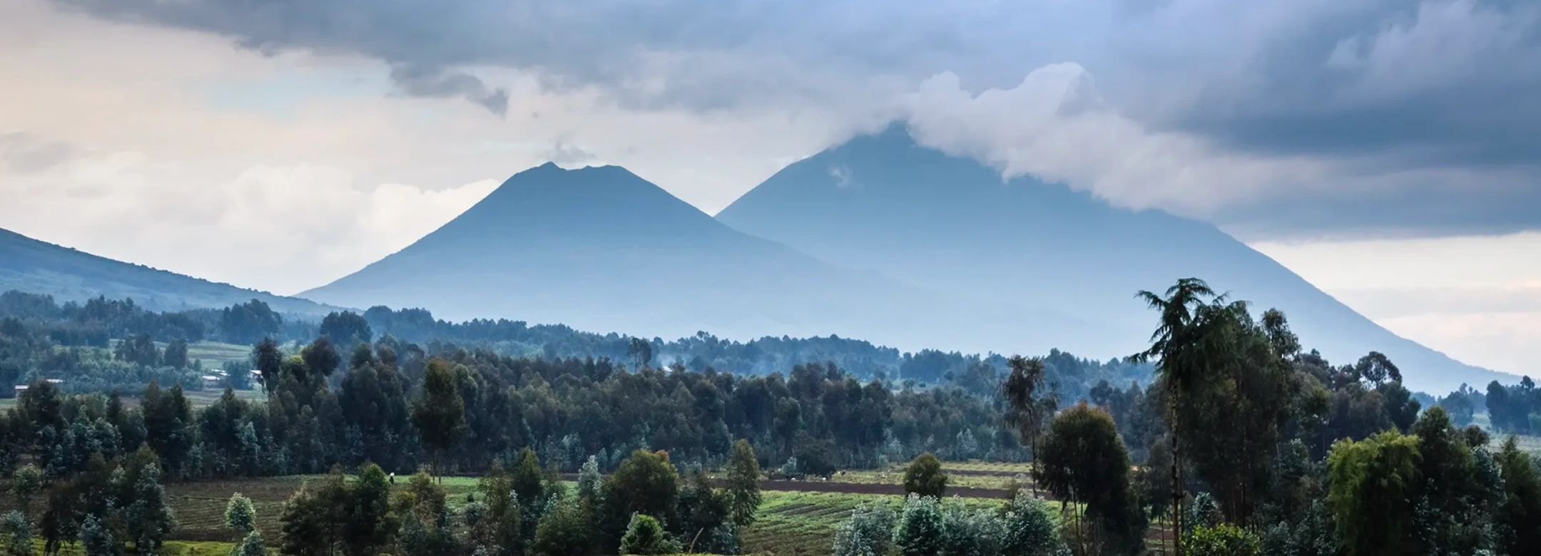 Parc national des Volcans
