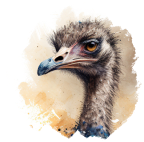 Autruche