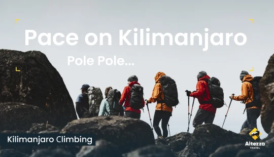 Trouver votre rythme sur le Kilimandjaro | Altezza Travel