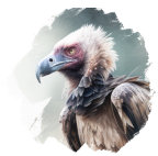 Vautour