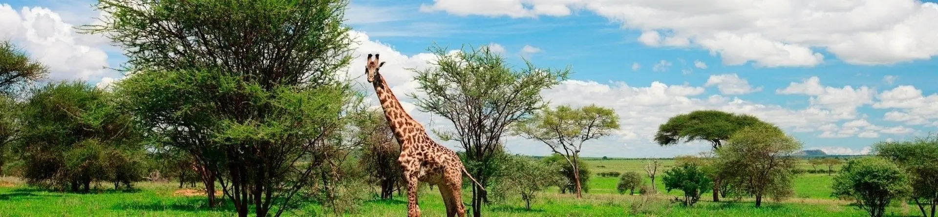 Parc national d’Arusha