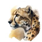 Guépard