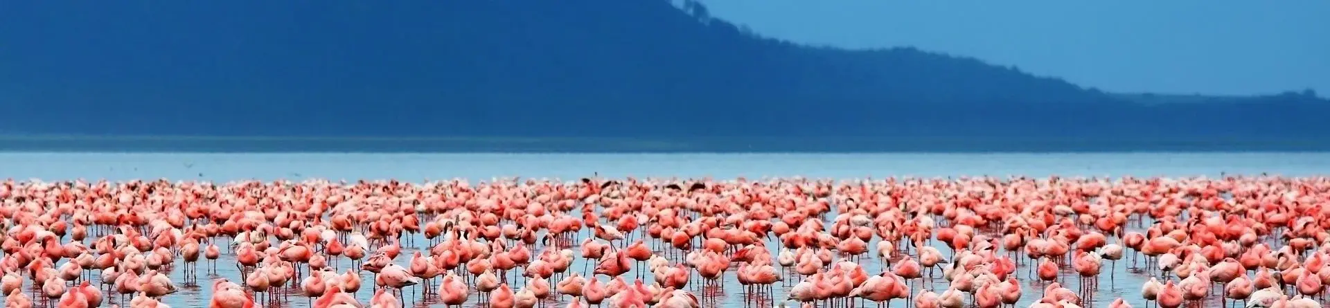 Lac Manyara Lac Manyara