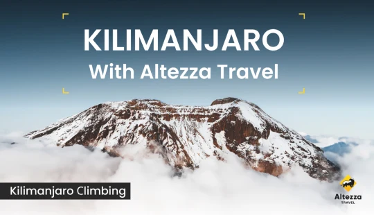 Ascension du Kilimandjaro : informations essentielles | Altezza Travel