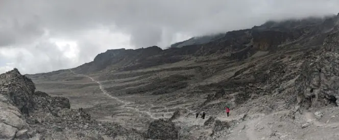 Voie Lemosho - Jour 4 - Trekking du Shira 2 Camp à Lava Tower et descente vers Barranco Camp