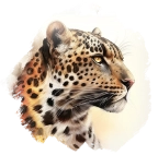 Léopard