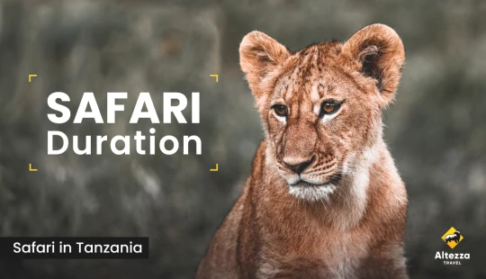 Planifier un safari : combien de jours faut-il ?