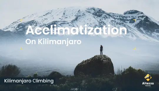 Acclimatation sur le Kilimandjaro | Altezza Travel