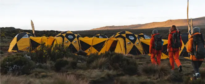 Voie Lemosho - Jour 3 - Trekking du Shira 1 Camp au Shira 2 Camp