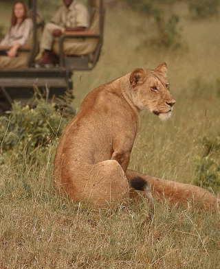 Parc national du Serengeti