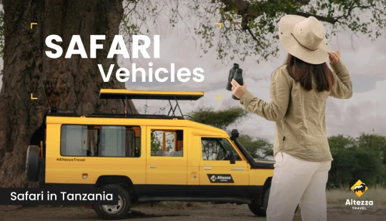 Les essentiels d’un véhicule de safari idéal